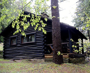 Cabin in woods