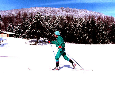 Cross Country Skier