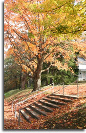 Steps to old Garrett County Courthouse, courtesy of the Garrett County Historical Society, photo courtesy of Francis Champ Zumbrun