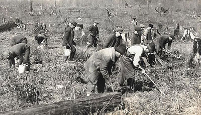 Planting crew at Rock Lodge by by K.E. Pfeiffer