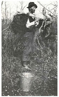 Tree toter at work on Nicola property near Rock Lodge (1920s)  