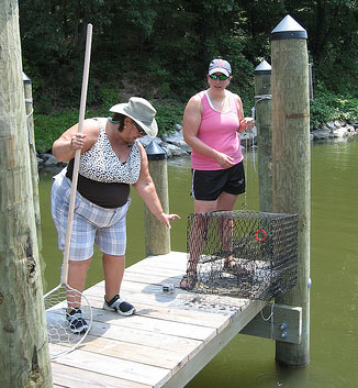 Crab Pot on Pier