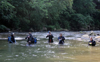 Mussel relocation