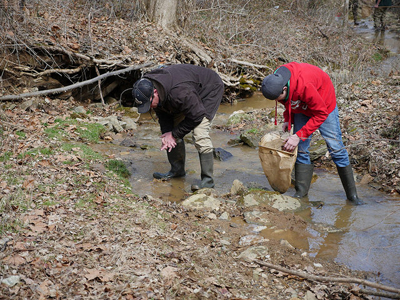 Two people standing in a stream with a net looking down at the stream.