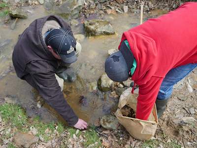 Stream Waders