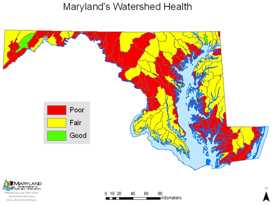 Stream Health Map