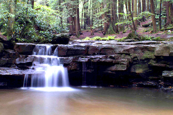 A small waterfall over rocks into a stream.