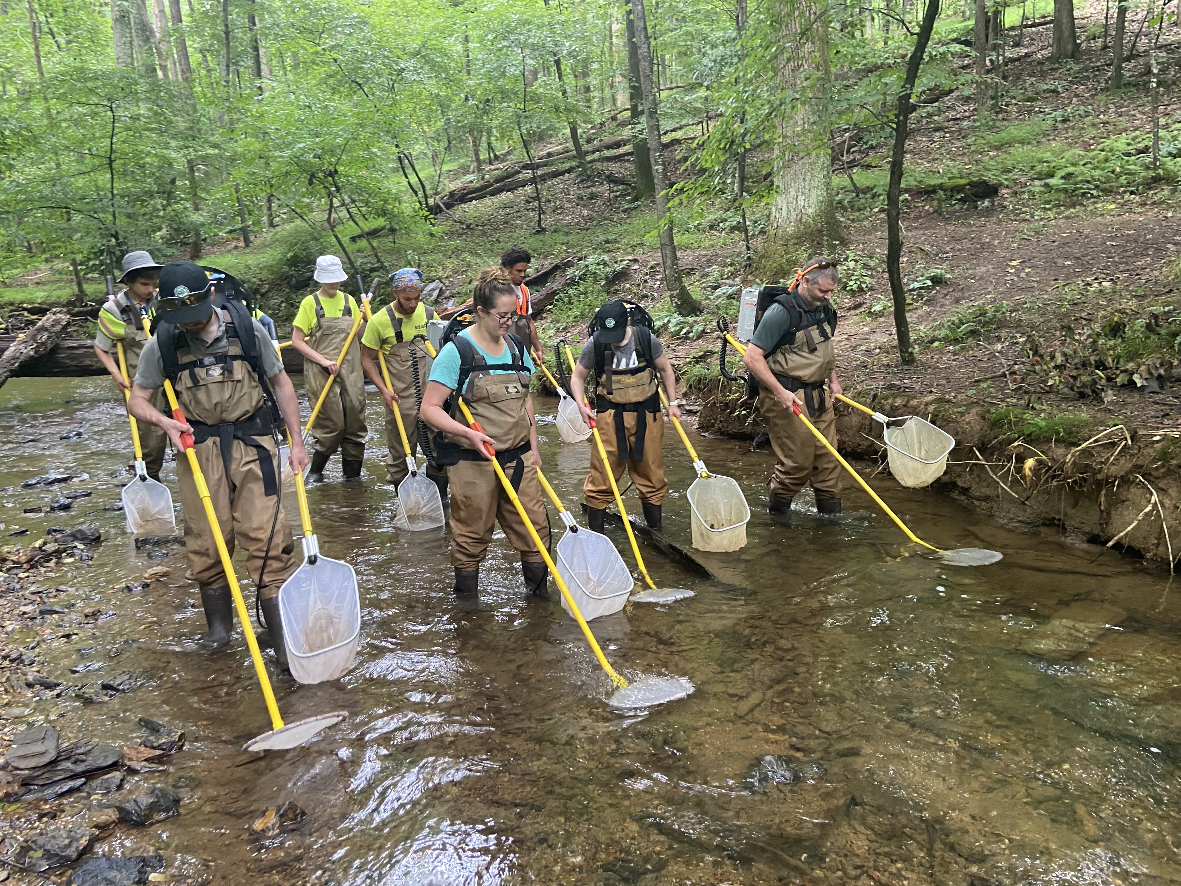 Water Cleanup