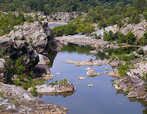 Potomac River, photo by Amber Hare