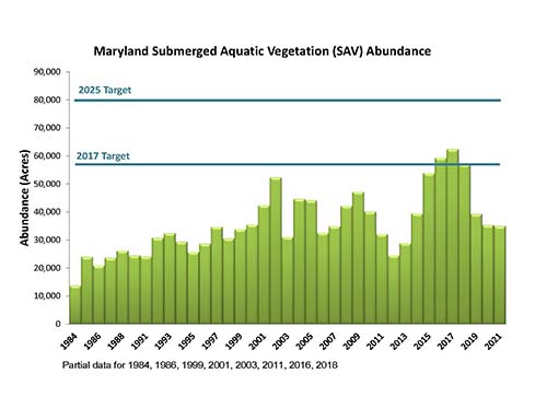 Maryland SAV Coverage Graph