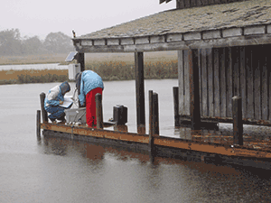 Shallow Water Monitoring at Trappe Landing