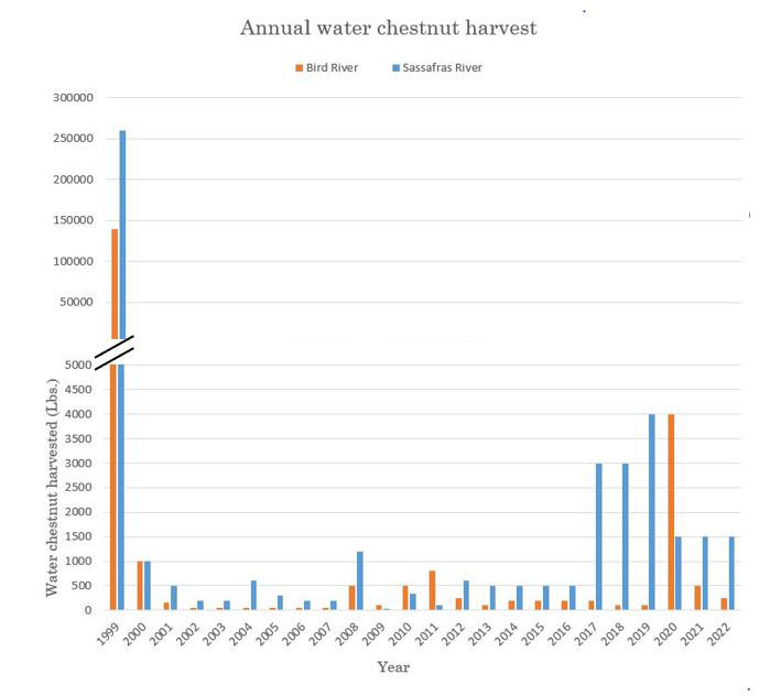 Water chestnut harvest was highest in 1999. spiked again from 2017 through 2020. Moderate collection otherwise in Maryland