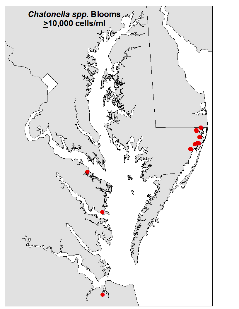 Chattonella Distribution Map