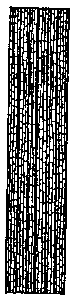 one example of basal leaf structure