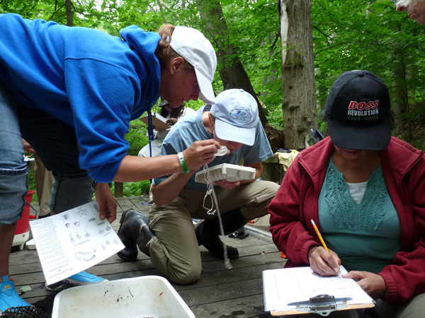 People collecting data out in the field.