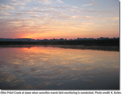 Otter Point Creek at dawn when secretive marsh bird monitoring is conducted. Photo credit: K. Keller.