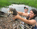 Woman putting a bird in a nest.