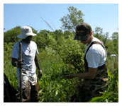 Two people in the field with a shovel.