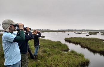 People holding up binoculars and looking out over the bay.