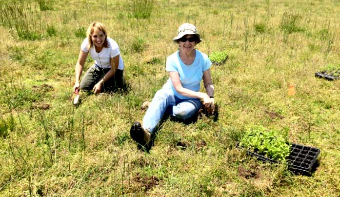 Volunteers doing a planting