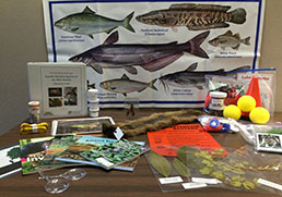 Aquatic Invasive Species Education Trunk contents.