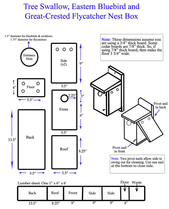 Bluebird Nest Box Plan