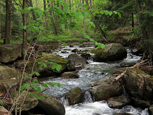 Lost Land Run Natural Area