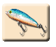 Fishing Fun Icon