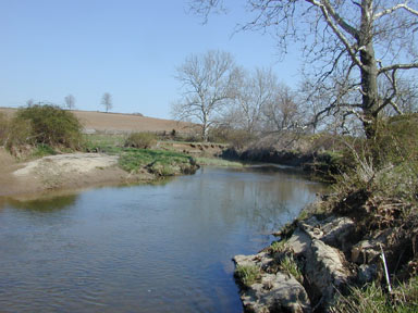 Photo of Habitat for Fowler's Toad courtesy of Andy Becker