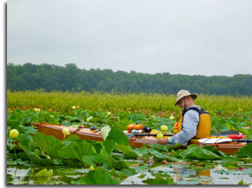 Kayaking Mattawoman Creek Natural Area, photo byu Julie Kiang