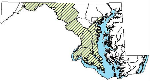 Eastern six-lined racerunner Maryland Distribution Map 