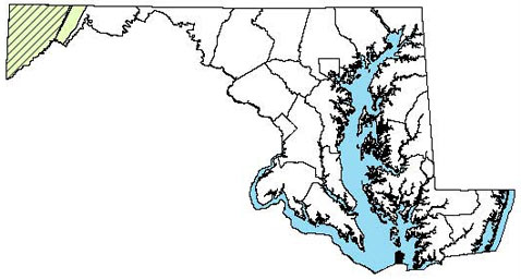 Maryland Distribution Map for Mountain Chorus Frog