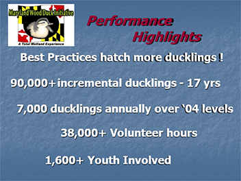 Performance Highlights