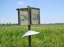 Experiment with double wood duck nest box