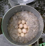 Freon Canister Wood Duck Nest Box Used in MWDI experiment