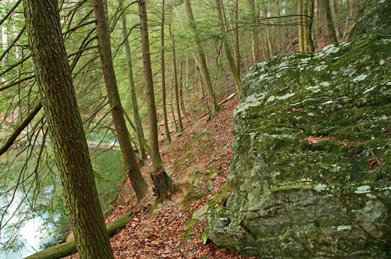 Masemore Hemlock Ravines Natural Area