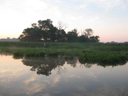 Otter Point Creek Photo