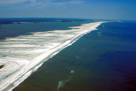 Assateague Island Photo