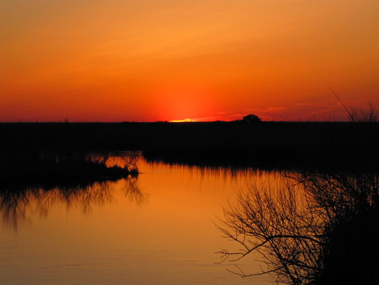 Fishing Bay Marshes Photo