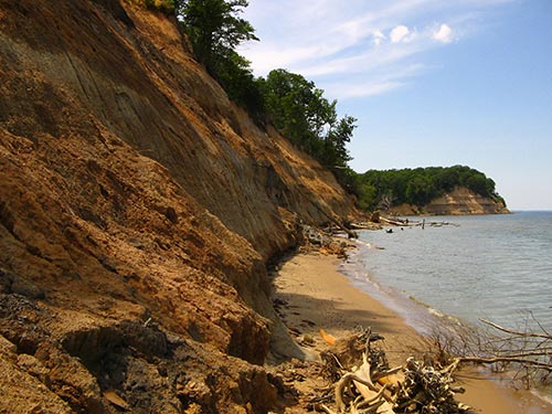 Scenic view of the Calvert Cliffs. photo by: Matt Logan