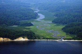 Scenic view of Parkers Creek © ALAN ECKERT PHOTOGRAPHY 