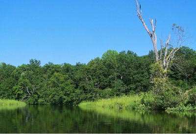 Scenic View of Patuxent River, photo by Kathi Fachet