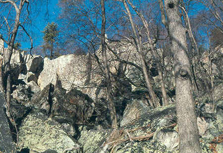 Scenic View of Cat Rock and Bob's Hill, courtesy of Dan Feller