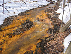 Mine damaged stream at Lostland Run, photo by Kerry Wixted