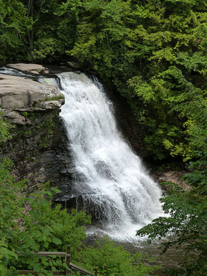 Scenic view of Swallow falls, photo by Kathi Fachet