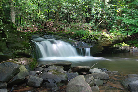 Scenic view of South Savage natural Area, photo by Dave Kazyak