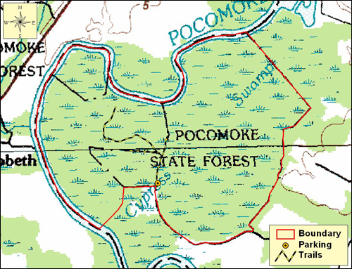 Hickory Point Cypress Swamp