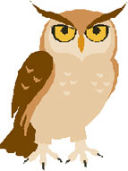 Owl_Graphic.jpg