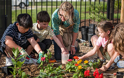 PollinatorPlanting.jpg