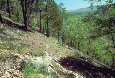 Kasecamp Shale Barrens, Allegany County - photo courtesy of Richard H. Wiegand 